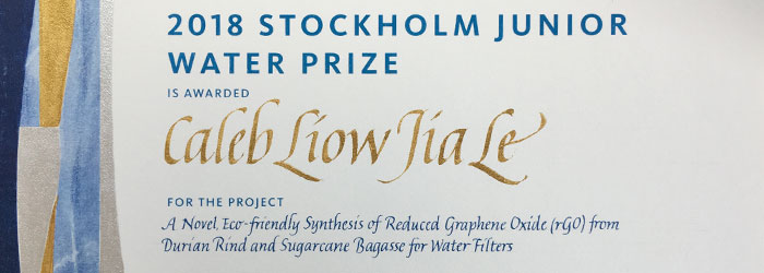 kalligrafi. Stockholm Junior Water Prize diplom, 2018